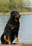 BEAUCERON 647